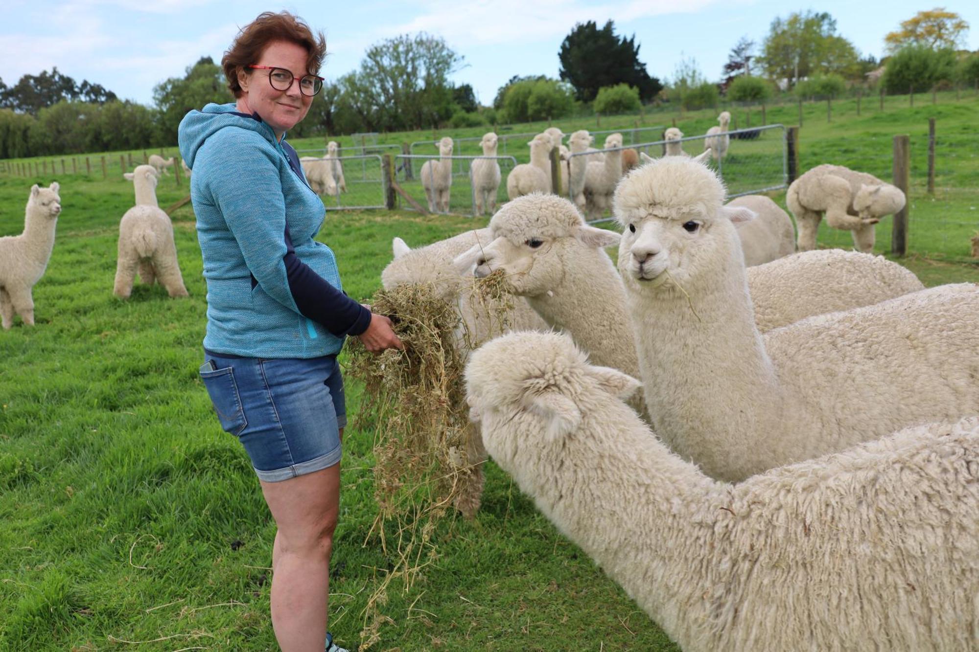 Silverstream Alpaca Farmstay & Tour Kaiapoi Exterior foto