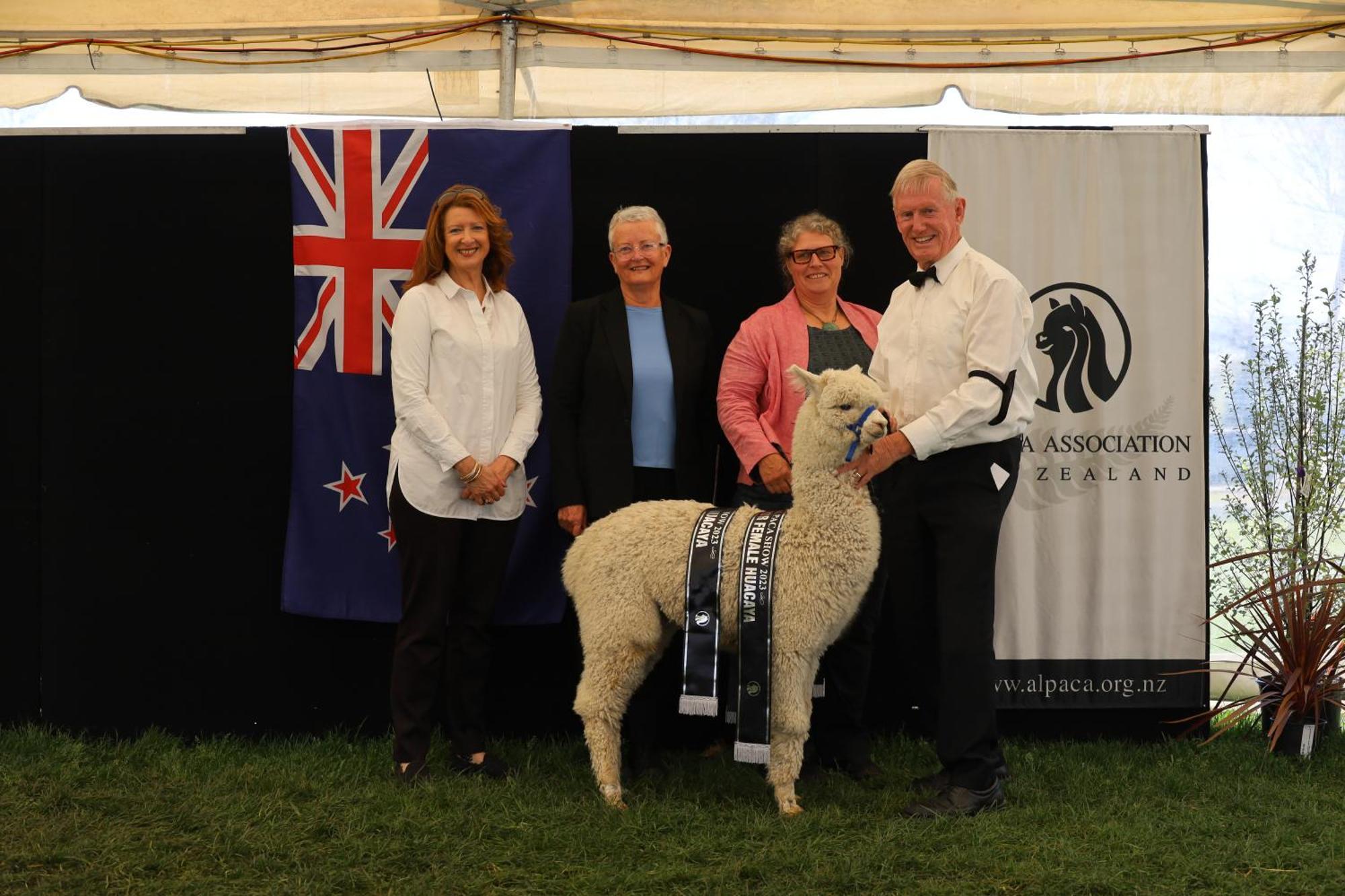 Silverstream Alpaca Farmstay & Tour Kaiapoi Exterior foto
