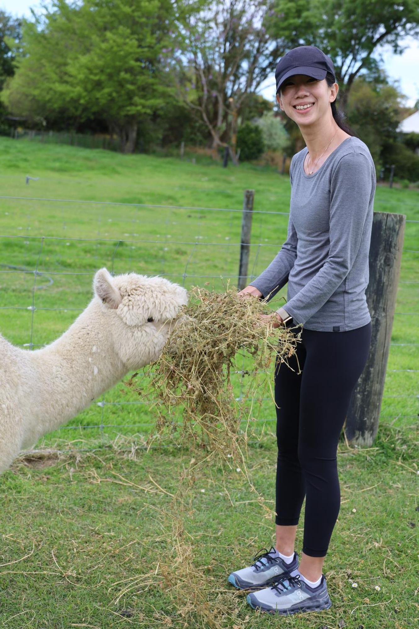 Silverstream Alpaca Farmstay & Tour Kaiapoi Exterior foto