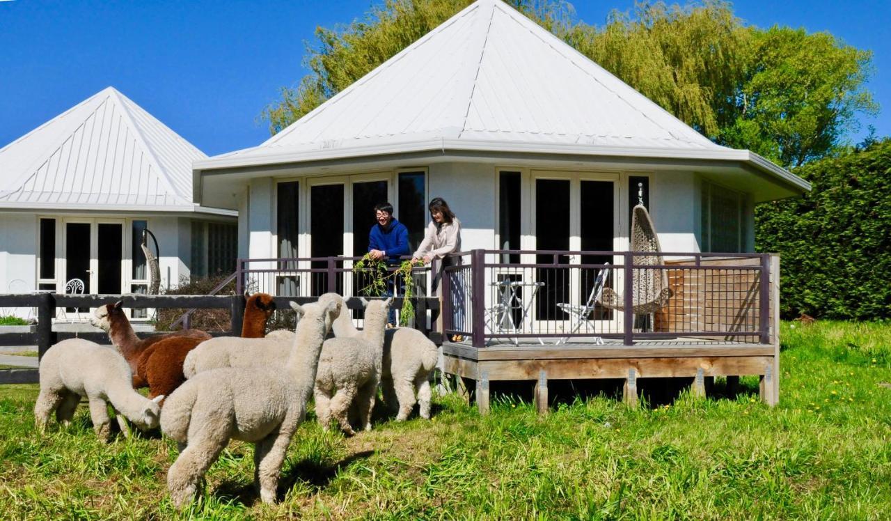 Silverstream Alpaca Farmstay & Tour Kaiapoi Exterior foto