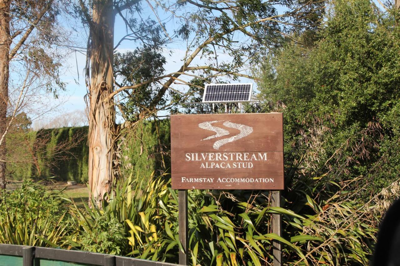 Silverstream Alpaca Farmstay & Tour Kaiapoi Exterior foto