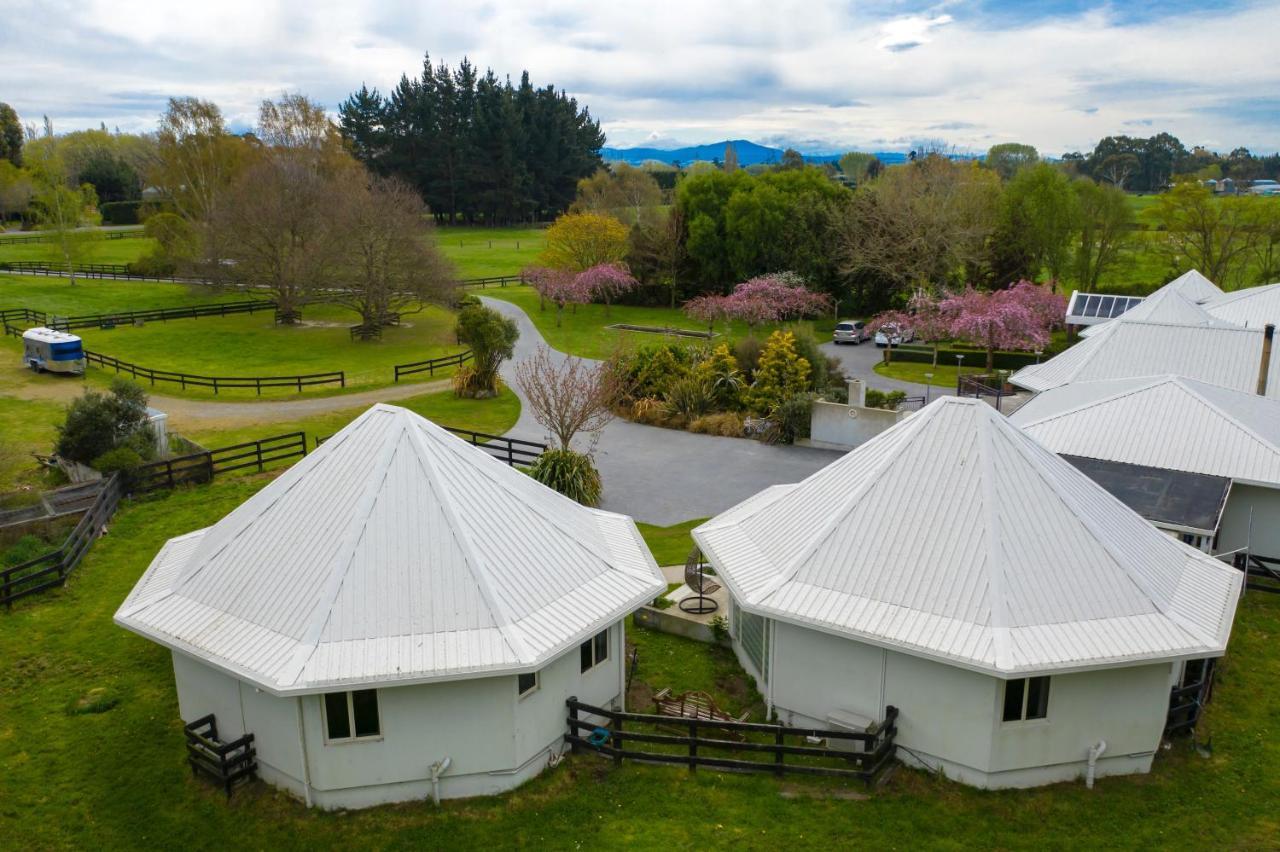Silverstream Alpaca Farmstay & Tour Kaiapoi Exterior foto